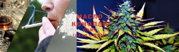 индика Алзамай