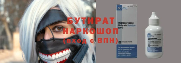индика Алзамай