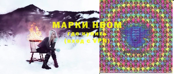 индика Алзамай
