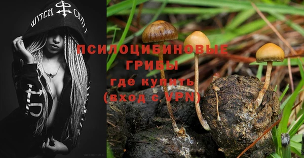 прущая мука Алексин