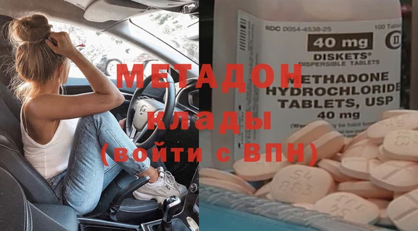 индика Алзамай