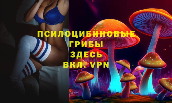 PSILOCYBIN Алексеевка